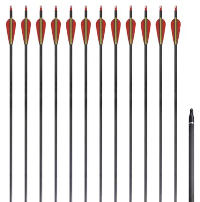 Obrázok produktu pre vidaXL Rekurzné šípy do luku 30" 0,76 cm karbón 12 ks.