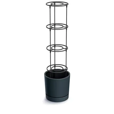 Image de Pot Prosperplast HOME GROWER pour la culture de tomates 14,5 l anthracite