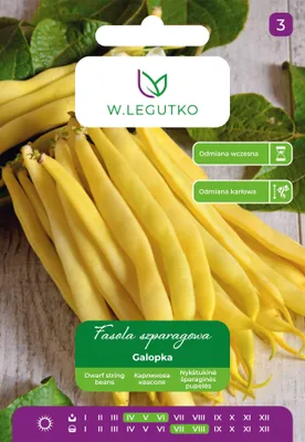 Produktbild von Galopka Bohnensamen 40g - W.Legutko