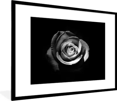 Produktbild von MuchoWow® Gerahmtes Poster Blumen - Schwarz - Rose - Weiß - Botanisch 80x60 cm - Poster mit Schwarzem Bilderrahmen Wandposter Rahmen Foto Bilder - Schlafzimmer-Dekorationen - Fotoposter