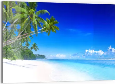 Produktbild von DEQORI Glasbild Echtglas 90x60 cm 'Palmen am Sandstrand' Wandbild Bild modern Deko
