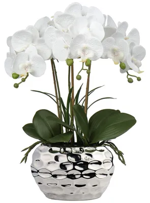 Produktbild von Künstliche Phalaenopsis-Orchidee im Topf