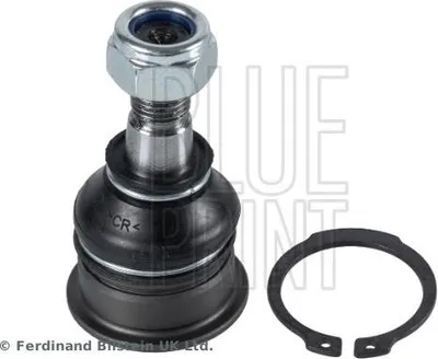 Produktbild von BLUE PRINT Traggelenk Vorne Links Unten Vorne Rechts für NISSAN SUNNY II Coupe (B12) ADN18631