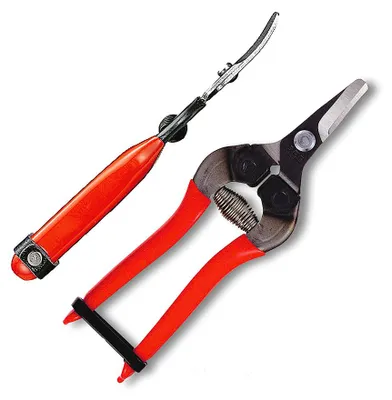 ARS 310 Obst-, Trauben-, Gemüseschere ergonomische Floristenschere Gärtnerschere