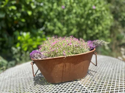 Produktbild von Edelrost Wanne zum Bepflanzen 15x34cm Rost Pflanzwanne Blumentopf Windlicht Edelrost Gartendeko