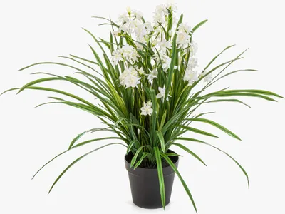 Produktbild von artplants.de Künstliche Orchidee JANILA im Dekotopf, weiß, 85cm - Kunstblume Cymbidium