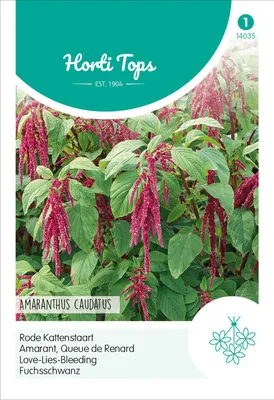 Artikelbild 2 von 'Fuchsschwanz Amaranthus Caudatus' aus der Kategorie Fuchsschwanzsamen
