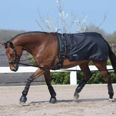 Obrázok produktu pre BUSSE Koberec Rain 50 Black 155
