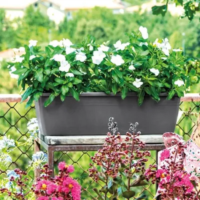 Produktbild von DEROMA Rechteckiger Pflanzer Day R Anthrazit - 50 cm