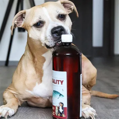 Produktbild von Lachsöl 1 l für Hunde und Katzen, kaltgepresst, wasserfrei, mit Omega 3, DHA und EPA