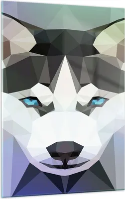 Produktbild von Bilder auf glas - Einteilig - Hund Husky Portrait - 50x70cm - Glasbilder - Wandbilder - Bilder - zum Aufhängen bereit - Wanddekoration aus Glas - Glas Bilder - Wandbild auf Glas - GPA50x70-3080