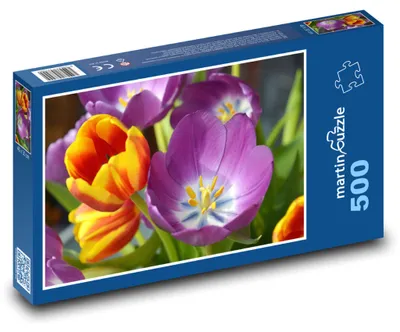 Produktbild von Puzzle 500 Bunte Tulpen im Frühling - martinpuzzle
