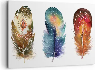 Produktbild von Bild auf Leinwand - Leinwandbild - Einteilig - Feder Vogel Farbe - 100x70cm - Wand Bild - Wanddeko - Wandbilder - Leinwanddruck - Bilder - Wanddekoration - Leinwand bilder - Wandbild - AA100x70-4927