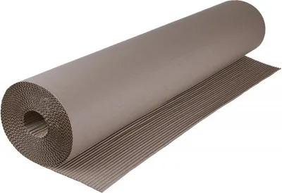 Immagine prodotto di Levior Cartone ondulato 1x10m