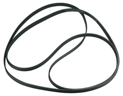 A black serpentine belt is shown against a white background.
