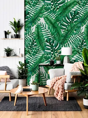 Produktbild von Coloray Fototapete 208x146 cm Vlies-Fototapete - Blätter Jungle Monstera.