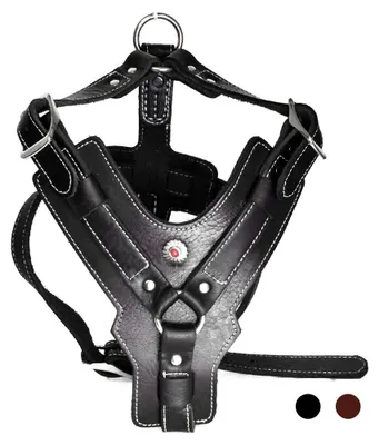 Produktbild von PESHOUCO Hundegeschirr aus Leder, handgefertigt, echtes Leder, langlebig, stark,