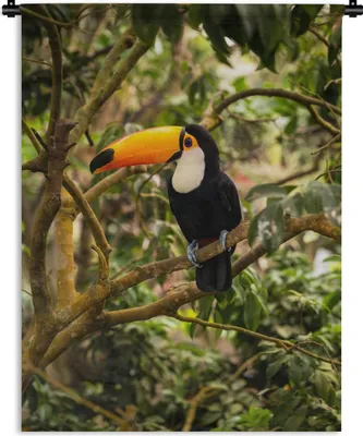 Produktbild von MuchoWow® Wandteppich Wandbehang Vogel - Tukan - Dschungel - Natur - Tropisch 120x160 cm Tapisserie Dekoration Wandtuch - Wohnzimmer - Moderne