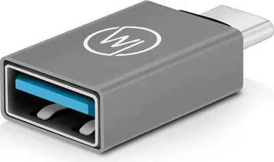 Image de Wicked Chili Adaptateur USB C vers USB A pour Nintendo Switch Pro Controller et ECHTPower Controller - connexion directe entre le contrôleur et la Switch