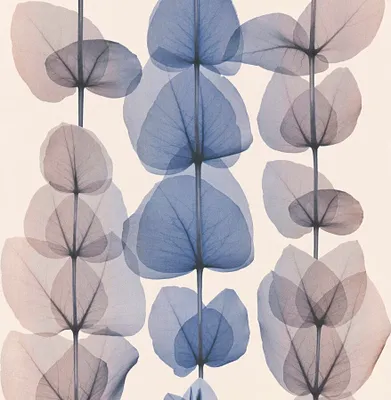 Produktbild von A.S. Création Vliestapete X-Ray Tapete blau creme metallic 10,05 m x 0,53 m 342455 34245-5
