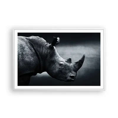 Produktbild von Gerahmtes Poster - Weißer Rahmen - Nashorn Schwarzweiß Porträt - 91,5x61 cm - Wand Bild - Wanddeko - Wandbilder - Wandposter - Bilderrahmen - Bilder - Kunstdruck - Wandbild - P2WAA91x61-4347