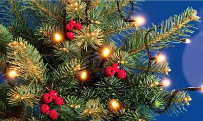 Productafbeelding van Kerstverlichting buiten 360 lampjes 36 meter LED Anna's Collection