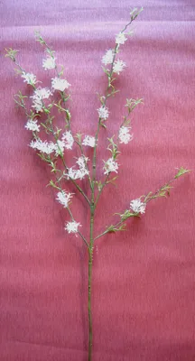 Produktbild von Künstlicher Dekozweig grün-weiss mehrtriebig ca. 120 cm