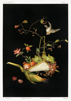 Produktbild von Plakat 70x100cm Japanische Stillleben, G.A. Audsley für das Wohnzimmer