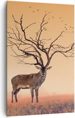 Produktbild von Bild auf Leinwand - Leinwandbild - Einteilig - Hirsch Baum Nebel Wald - 80x120cm - Wand Bild - Wanddeko - Wandbilder - Leinwanddruck - Wanddekoration - Leinwand bilder - Wandbild - PA80x120-3127