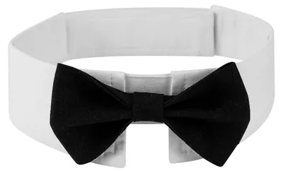 Produktbild von Solidchoice – Schmetterlingshalsband für Katzen und Hunde, Schwarz