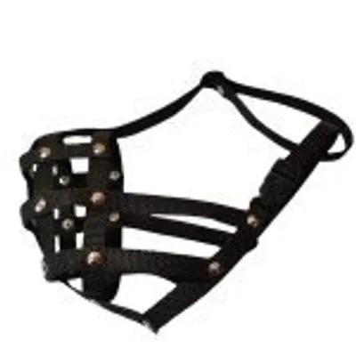 Immagine prodotto di Museruola in nylon Palkar per cani taglia 4 29 cm x 7 cm nero (Museruola in nylon Palkar per cani taglia 4 29 cm x 7 cm nero)