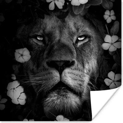 Produktbild von MuchoWow® Poster Blumen - Dschungel - Löwe - Schwarz - Weiß 50x50 cm - Wohnzimmerdekoration