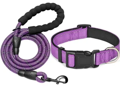 Immagine prodotto di Guinzaglio imbottito da 150 cm, in nylon, riflettente, color viola, adatto per cani di taglia grande e media
