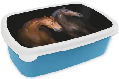 Produktbild von KitchenYeah® Lunchbox Brotzeit Brotdose 17x11 cm Pferde - Tiere - Porträt - Braun Kinder Brotzeitdose - Lunch - Kunststoff  - Brotbüchse - Sandwichbox - Lunchbox für Kinder