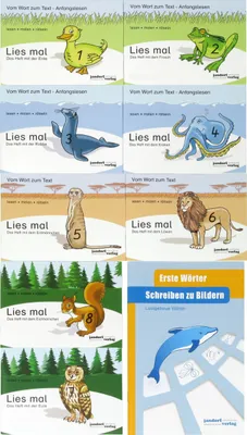 Produktbild von Lies mal 1-8 (2015) + Schreiben zu Bildern - Lautgetreue Wörter (Delphin)