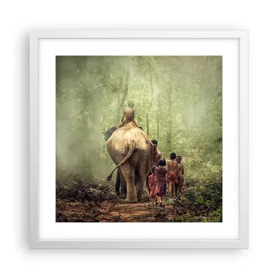 Produktbild von Gerahmtes Poster - Weißer Rahmen - Elefant Dschungel Nebel - 40x40 cm - Wand Bild - Wanddeko - Wandbilder - Kunstposter - Wandposter - Bilderrahmen - Bilder - Kunstdruck - Wandbild - P2WAC40x40-3438