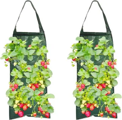 Produktbild von 2 Stahlhängende Blumenkörbe, umgekehrte Tomatenkörbe, Hängende Erdbeerenkörbe, Blumenkörbe für den Garten