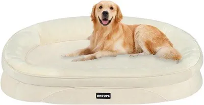 Image de Lit orthopédique pour chien, taille moyenne, beige, fond antidérapant