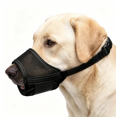 Immagine prodotto di Museruola in nylon Ademend, adatta per cani di taglia media