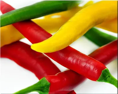Obrázek produktu pro Canvas Chilli 40X50