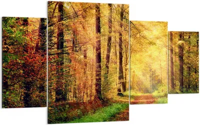 Produktbild von Bild auf Leinwand - Leinwandbild - Wald Baum Natur - 160x90cm - Wand Bild - Wanddeko - Wandbilder - Leinwanddruck - Bilder - Kunstdruck - Wanddekoration - Leinwand bilder - Wandkunst - DL160x90-3718