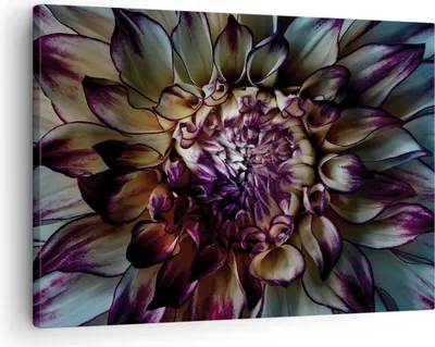 Produktbild von Bild auf Leinwand - Leinwandbild - Einteilig - Blätter Agave Blume - 70x50cm - Wand Bild - Wanddeko - Wandbilder - Leinwanddruck - Bilder - Wanddekoration - Leinwand bilder - Wandbild - AA70x50-5122