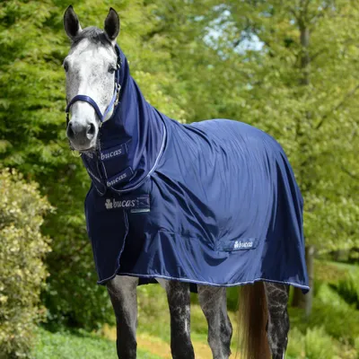 Produktbild von Bucas Shamrock Power Full Neck - Navy/Silver 0g
