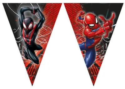 Image de Guirlande de drapeaux en papier Spiderman, 2,3 m, 1 pièce