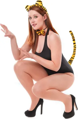Produktbild von Tiger Set