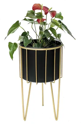Image de Tabouret à fleurs avec pot - Support de plantes et table d'appoint moderne en or noir - 68 cm de haut