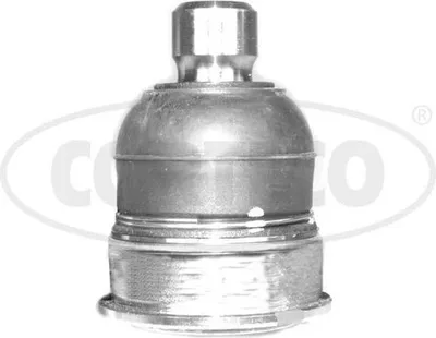 Produktbild von CORTECO Traggelenk Unten Vorne Rechts Vorne Links für SUZUKI SWIFT III (MZ, EZ) 49400363