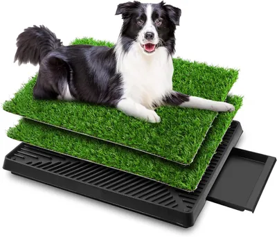 Produktbild von Hundeklo Hundetoilette mit Gras – Hunde Toilette Welpenklo mit Kunstrasen als Trainingsunterlage für Welpen und Hunde