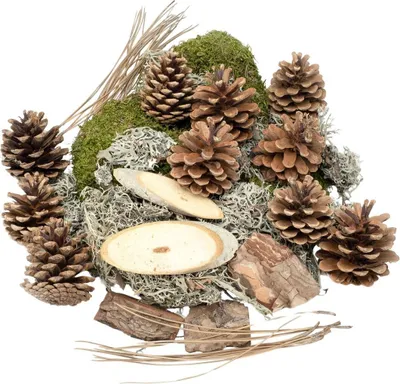 Wald-Potpourri 450 g, Herbstdeko-Mix