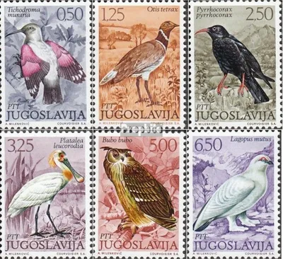 Produktbild von Briefmarken Jugoslawien 1972 Mi 1459-1464 (kompl.Ausg.) postfrisch Einheimische Vögel